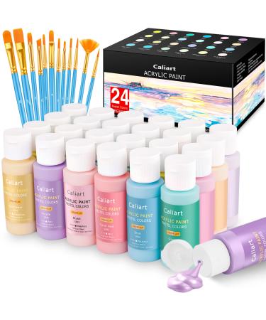 Caliart Acrylic Paint & Brush Pens  Acrylic paint set, Brush pen art, Pen  kits