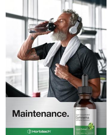 Horb ach Gymnema Sylvestre Liquid Extract | 2 fl oz | Alcohol Free Drops | Super Concentrated Supplement Tincture | Vegetarian Non-GMO Gluten Free - Buy Online on GoSupps.com