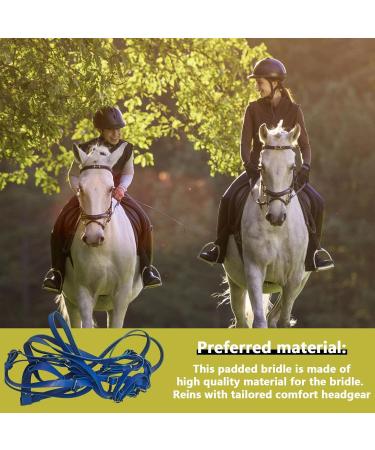 Halter Horse Safety Halter Chin & Throat Snap Heavy Duty Tied Halter | Padded Nylon Colorful Comfortable Horse Halter for Horse Care Training Equestrian Dalian Blue - Buy Online on GoSupps.com