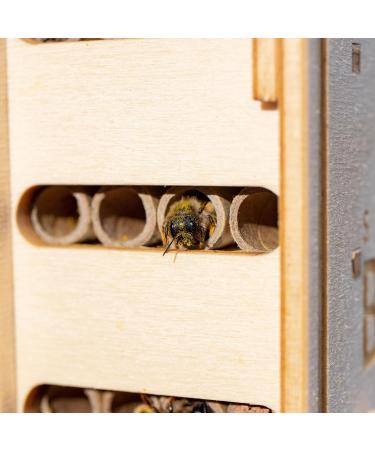 DIY Solitary Bee Hotel Kit Make your own home for wild bees. Bee-friendly gift for nature lover. 190 x 215 x 70mm - Buy Online on GoSupps.com