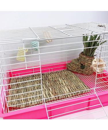 12 Pack Woven Grass Mat Rabbit Natural Straw Woven Bed Mat Woven Hay Rabbit Bedding Cage Liner Chewable Beds Resting Mats Toys for Guinea Bunny Hamster 11x8 Inch - Buy Online on GoSupps.com