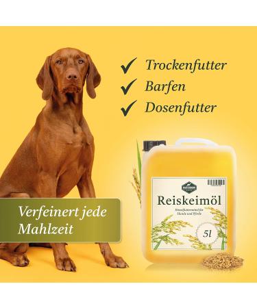 Martenbrown Rice Germ Oil 5L - Premium Dietary Supplement for Horses Dogs & Donkeys | Ideal for Dry & Canned Food Barf Oil - Buy Online on GoSupps.com
