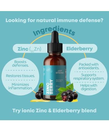 Kids Zinc & Elderberry Immune Support Drops - Vegan Antioxidant Syrup with Fast Absorption - 30 Servings - Buy Online on GoSupps.com