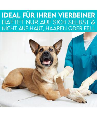 Hund ist K nig Self-Adhesive Elastic Bandage | 12 Rolls (5cm x 4.7m) for Humans & Animals | Best Self-Adhering Fixing Bandage in Beige - Buy Online on GoSupps.com