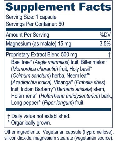 Ayush Herbs AP Traveler with Neem, Pippali & Bitter Melon - 60 Capsules | Natural Gastrointestinal Support and Magnesium Supplement - Buy Online on GoSupps.com