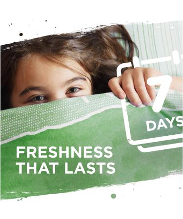 Persil Bio Laundry Detergent - 38 Washes, 1.026L | Stain Removal | 100% Recyclable Bottle - Buy Online on GoSupps.com