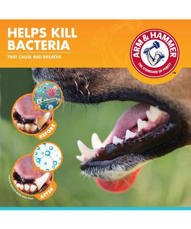 Arm & Hammer Fresh Breath Dental Kit for Pets - Pet Toothbrush & Toothpaste with Baking Soda - Oral Care Dental Kit for Cat & Dog Teeth Cleaning - Chicken Flavor - 1 Pack - Buy Online on GoSupps.com