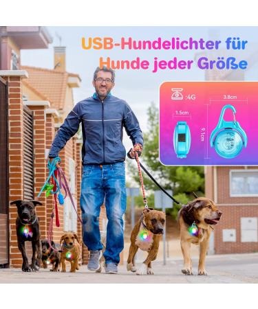 Dokkita Rechargeable LED Dog Light - RGB Color-Changing & 4 Flashing Modes | Safety USB Charging for School Satchels - Green - Buy Online on GoSupps.com