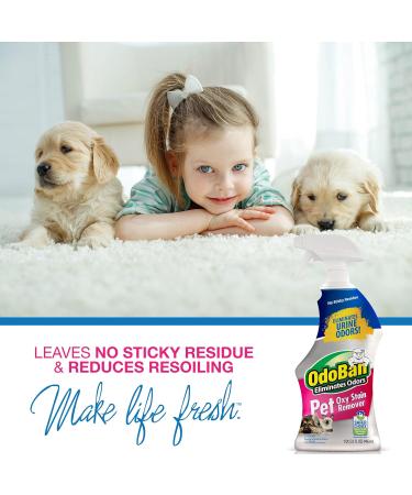 OdoBan Pet Solutions Oxy Stain Remover Pet Stain Eliminator 32 Ounce Spray - Buy Online on GoSupps.com