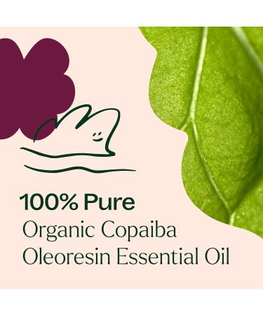 Buy Plant Therapy Copaiba Oleoresin Organic Essential Oil - 100% Pure Undiluted Therapeutic Grade - 30 mL | International Shipping Available - Buy Online on GoSupps.com
