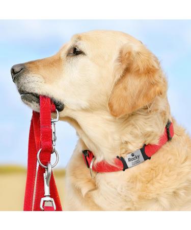 Gisurey Personalized Engraved Dog Tag - Durable Stainless Steel Silent Slide-On ID for Dogs & Cats Easy to Read BS-L (2.5 cm) - Buy Online on GoSupps.com