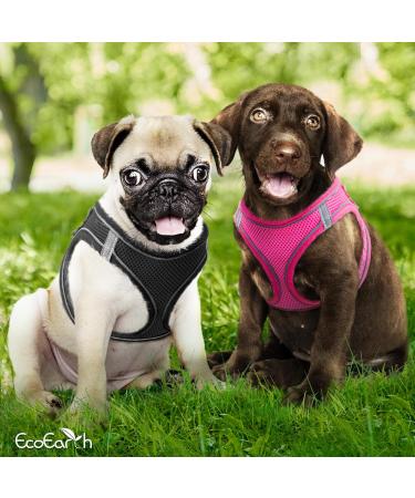 Dog Harness (Medium Black) W/Leash for Running Hiking & Training Soft-Padded & No-Pull Design Pet Harness W/Leash Clips & Reflective Strips for Safety by EcoEarth Black Medium - Buy Online on GoSupps.com