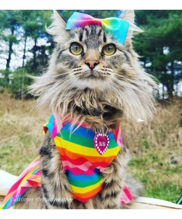 Fitwarm Rainbow Easter Dog Dress Vest Shirt for Medium Pets - Buy Online on GoSupps.com