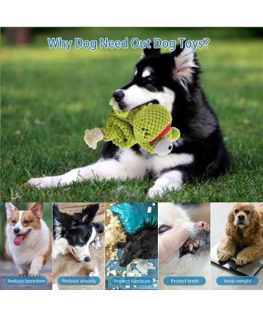 Shop Interactive Dog Toys: Squeaky Puzzle and Sniffing Toys for Dogs | International Shipping - Buy Online on GoSupps.com