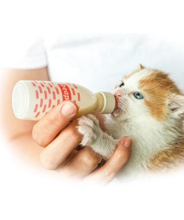 Beaphar | Lactol Kitten Milk Replacer | Complete Nutritious Feed for Newborn Weaning & Hand Rearing Kittens | Includes DHA & Taurine | Enriched with Vitamins & Minerals | 500 g - Buy Online on GoSupps.com