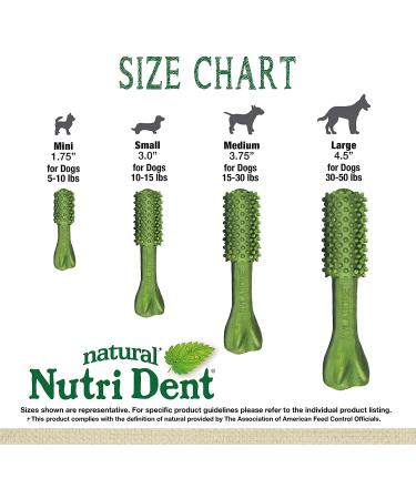 Nylabone Nutri Dent Natural Dental Fresh Breath Chew Treats Mini (160 Count) - Buy Online on GoSupps.com