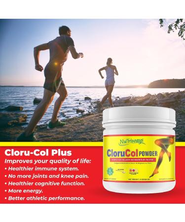 Magnesium Chloride & Hydrolyzed Collagen Powder - Dietary Supplement (1) - Buy Online on GoSupps.com