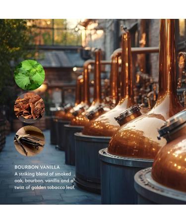 Mistral Bourbon Vanilla Liquid Hand Soap for Men | Luxury Moisturizing Handsoap with Organic Olive Oil Glycerin and Coconut Oil | Rich Lather | Paraben-Free | Made in France 16.9 Fl Oz Bourbon Vanilla 16.9 Fl Oz (Pack of  - Buy Online on GoSupps.com