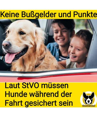 Adjustable Car Dog Leash with Seat Belt for All Breeds - 115-155 cm Reflective Grip Pad & Jerk Dampers - Ideal for Dog Lovers - Buy Online on GoSupps.com