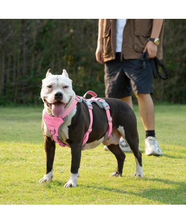 Buy Huntboo Panic Crockery & Heeplectating Dog Harness for Large Dogs - Waterproof Breathable & Adjustable Vest (Pink Large) - International Shipping Available - Buy Online on GoSupps.com