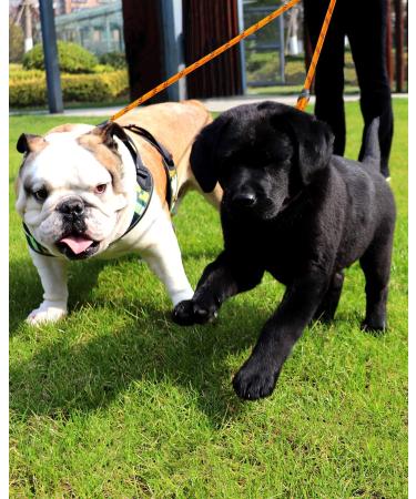 Taglory Double Linen for Dogs - Reflective Climbing Rope Adjustable Safety Leash (75cm Orange) - Perfect for 2 Dogs | International Shipping Available - Buy Online on GoSupps.com