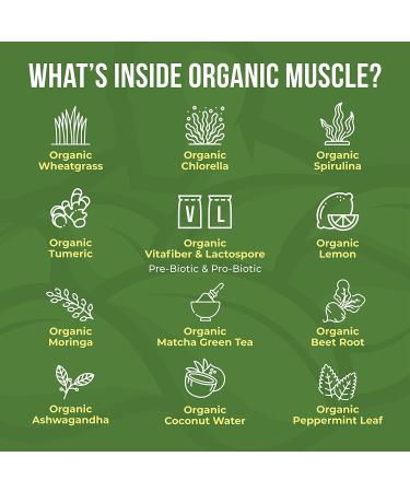 Organic Muscle Superfood Greens Powder - USDA Certified | Supports Gut Health, Energy & Weight Management | Vegan, Keto, Non-GMO | Lemon Flavor | 30 Servings - Buy Online on GoSupps.com