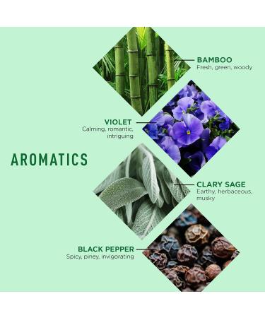 Jack Black Jackzen Renewing Body Lotion for Men 16 oz Earthy Fragrance Mens Lotion for Extremely Dry Skin Mens Body Moisturizer for Dry Skin Fast-Absorbing Hydration Gifts for Men - Buy Online on GoSupps.com