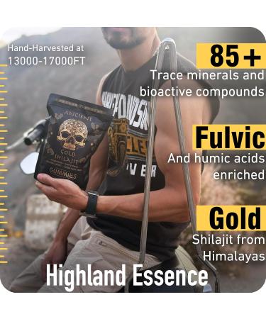 ad hoc 1100mg Gold Shilajit Gummies with Magnesium Lions Mane Rhodiola Grape Seed - Himalayan Shilajit for Men Women 85+ Trace Minerals & Fulvic Acid Pure Shilajit for Energy Immune Support 60 Ct - Buy Online on GoSupps.com