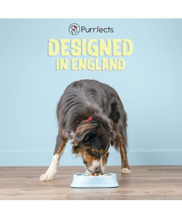 Purrfects Slow Feeder Dog Bowl (Sky Blue) - Anti Choke and Bloat - Dog Slow Feeder for Slower Feeding - Buy Online on GoSupps.com