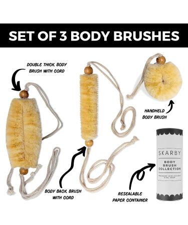 Premium Body Brush Collection for Flawless Skin - Set of 3 Dry & Shower Brushes - Cellulite Treatment, Lymphatic Drainage, Exfoliation & Blood Circulation - Long Cords for Maximum Reach - Buy Online on GoSupps.com
