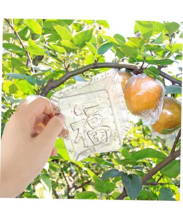 SUPVOX 2pcs for Growing Grow Tools Growth Shaped Forming Reusable Shape Fruit Shaping Plastic - Buy Online on GoSupps.com