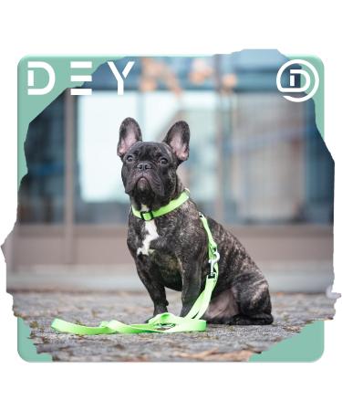 Dey Premium 3-Way Adjustable Dog Leash | Nylon 2m | For Small Medium & Large Dogs | Multiple Colors Available | Durable Black Leash - Doubleein Dog Cat Puppy Leash - Buy Online on GoSupps.com