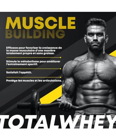 Healthy FUSION Whey Protein Collagen and Magnesium | Rapid Assimilation | Increases Muscle Mass | Improves Your Sports Training and Promotes Muscle Recovery Chocolate 1000g - Buy Online on GoSupps.com