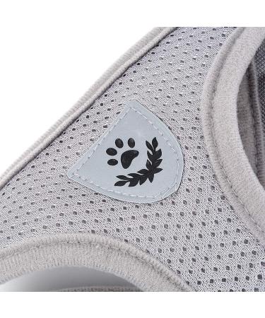 Ranphy Breakproof Cat Dishes with Leash - Durable Stylish & Ideal for International Shipping - Buy Online on GoSupps.com