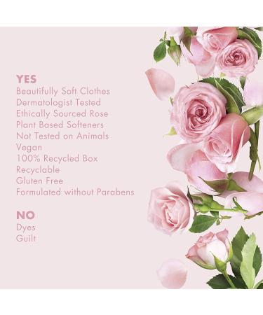 Love Home and Planet Dryer Sheets - Rose Petal & Murumuru - 80 count - Buy Online on GoSupps.com