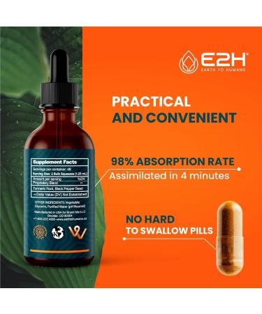E2H: Liver Support Supplement (2 Pack - 4 Fl Oz) and Liquid Turmeric Curcumin (Single Bottle - 2 Fl Oz) | Vegan Non-GMO - (6 Fl Oz Total) - Bundle - Buy Online on GoSupps.com