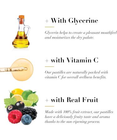 Dr. Doolittle s Soft Fruit Pastilles Sugar Variety Pack for Voice and Throat Blackcurrant Lemon Lime and Wild Berries 2.12 Ounce Tin approximately 25 Count Package 4 Pack - Buy Online on GoSupps.com