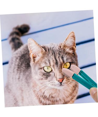 BESPORTBLE 8 Pcs Eye Gum Cleaner Eye Cleaning Brush Wipe Cats Mucus Brush Dog Tear Stain Removal Pet Comb Pp 10X3.2X1CMx4pcs Assorted Colorx4pcs - Buy Online on GoSupps.com