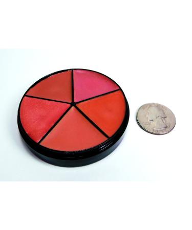 Pure Ziva Natural Nude Pink & Beige Lipstick Palette - 5 Shades, Moisturizing & Paraben-Free - Buy Online on GoSupps.com
