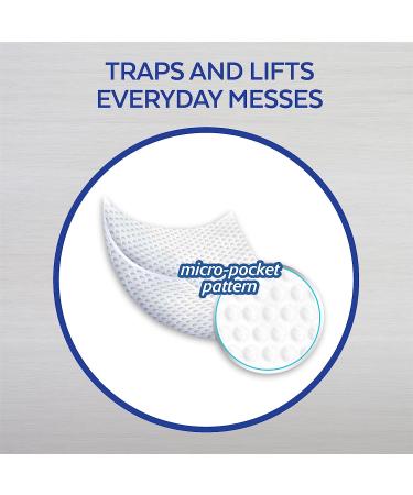 Lysol Disinfecting Wipes to-Go Pack, Lemon Scent, 15 ct - Pack of 2 - Buy Online on GoSupps.com