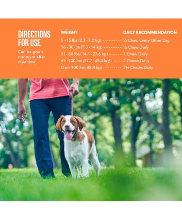 Synovi G4 Dog Joint Supplement Chews for Dogs of All Ages Sizes and Breeds-120 Chews - Buy Online on GoSupps.com