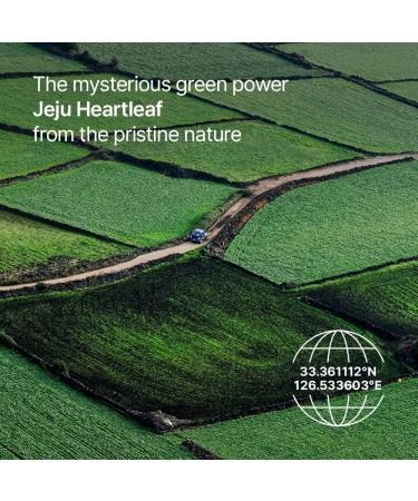 Parnell Panthenol 5.78% | 30ml / 1.01 fl.oz. | Heartleaf Calming Serum soothing & moisturizing serum korea skin care korea beauty - Buy Online on GoSupps.com