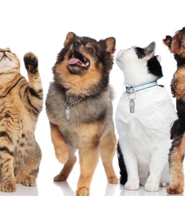 Welsberg 6-Piece Waterproof Address Pendant & Sleeve Set for Dogs & Cats | Ultra-Light Silver Trailer Caps - Buy Online on GoSupps.com