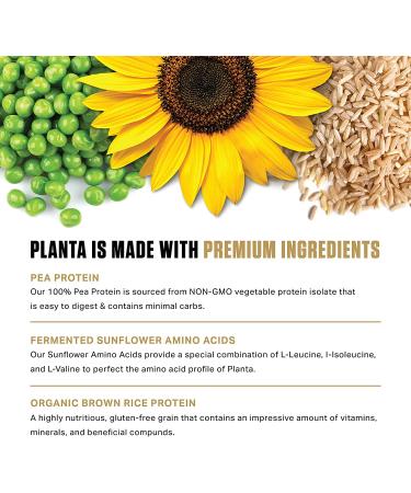 Ambrosia Planta - Organic Plant-Based Protein | Vegan & Keto Friendly | Gourmet Banana Maple Flavor | No Bloating or Stomach Upset | Gluten & Soy Free | 25 Servings - Buy Online on GoSupps.com