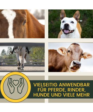 Zinc Ointment & Spray for Dogs & Horses | Wound Healing Protection | 2x250ml Zinc Oxide Solution - Buy Online on GoSupps.com