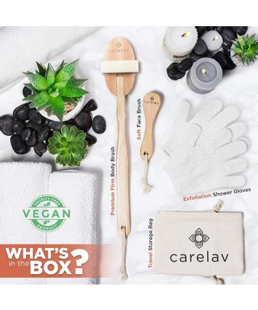 Vegan Dry Brushing Body Brush Set - Exfoliating & Cleansing Brushes for Lymphatic Drainage - Premium Skin Beauty Kit with Handle, Face Brush & Shower Gloves - Buy Online on GoSupps.com