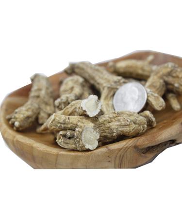 DABC OAK LAND American Ginseng Slices Wisconsin American Slices Root for Tea Energy for Men Women Mental Boosts Immunity (16OZ/Bag - Ginseng Root) - Buy Online on GoSupps.com