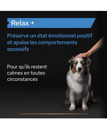 PURINA PRO PLAN | Relax+ | Complementary food | Dog | 250ml bottle - Buy Online on GoSupps.com