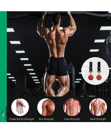 FITactic Rock Climbing Cannonball Power Pull Up Ball Hold Grips - Black (3.5) | Training for Finger, Forearm, Biceps, and Back Muscles - Buy Online on GoSupps.com