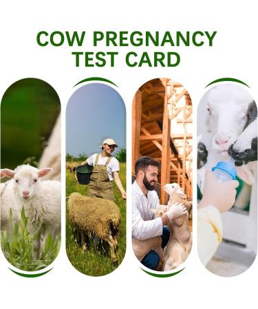 Sheep/Goat Pregnancy Rapid Detection Test 2 Pack | Fast & Accurate Results for Farmers - Buy Online on GoSupps.com